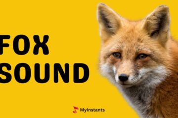 What Sound Does A Fox Make & How Does It Sound Like