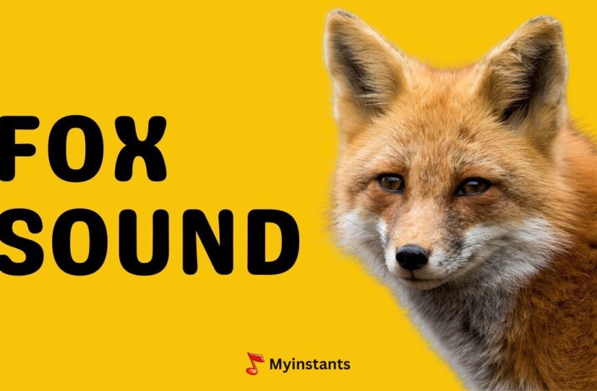 What Sound Does A Fox Make & How Does It Sound Like