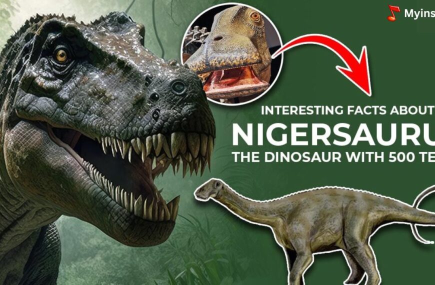 What Dinosaur has 500 teeth - Nigersaurus