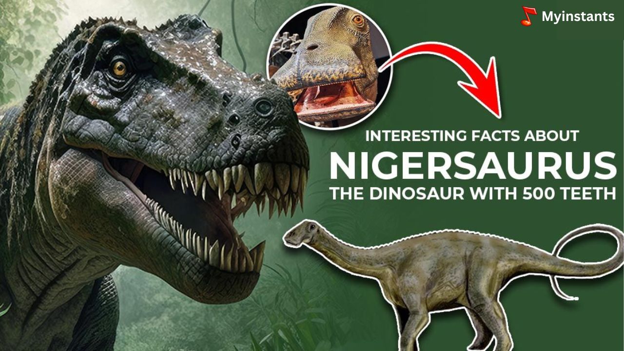 What Dinosaur has 500 teeth - Nigersaurus